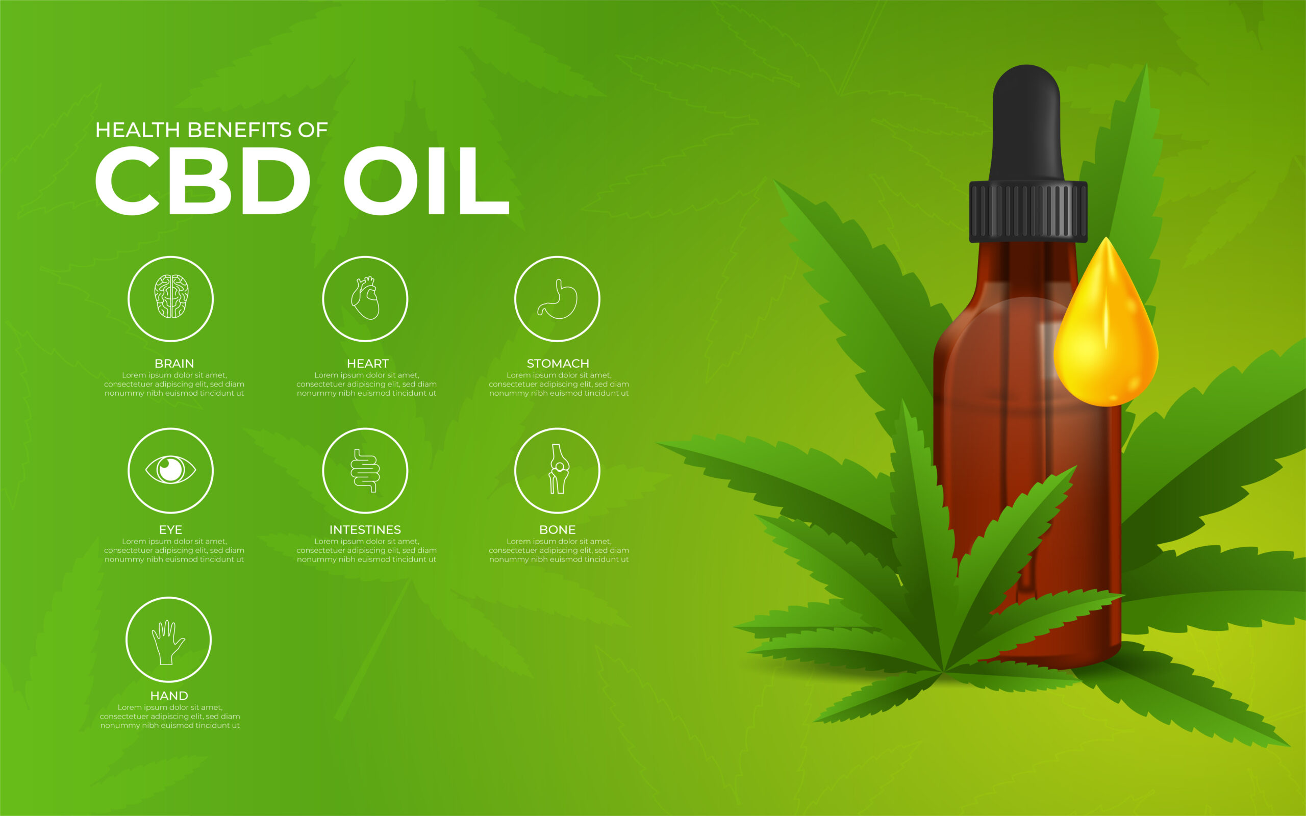 Is CBD Different From THC? What You Should Know