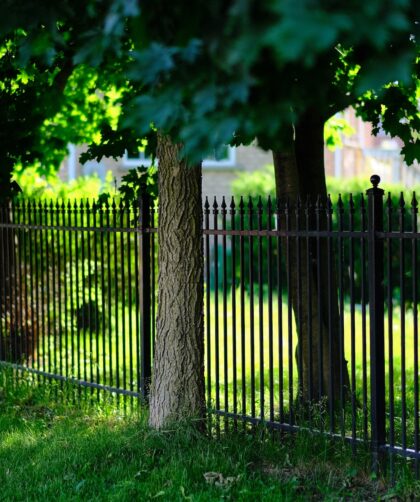 fence