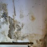 5 worst consequences of a basement that's perpetually wet