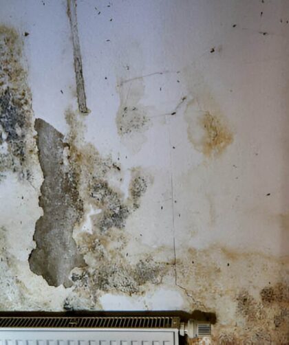 5 worst consequences of a basement that's perpetually wet
