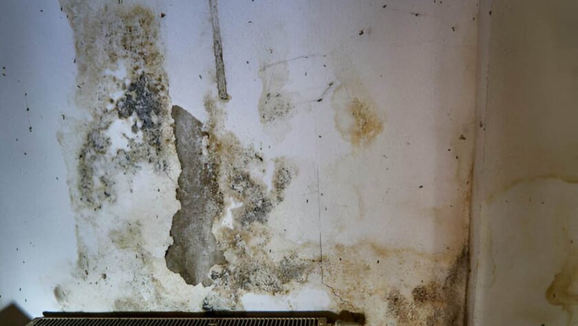 5 worst consequences of a basement that's perpetually wet