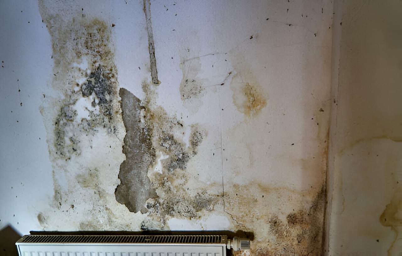 5 worst consequences of a basement that's perpetually wet